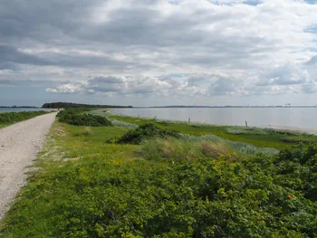 Halshuisene + Enebaerodde Beach (Denemarken)